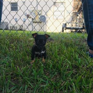 Meet your Posher, Tara